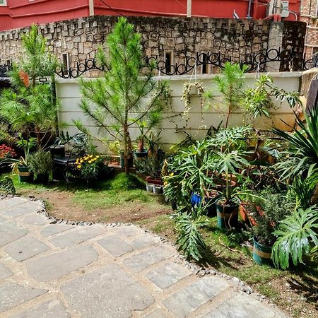Wasabi House - Homestay Ben Cho Dalat Eksteriør bilde