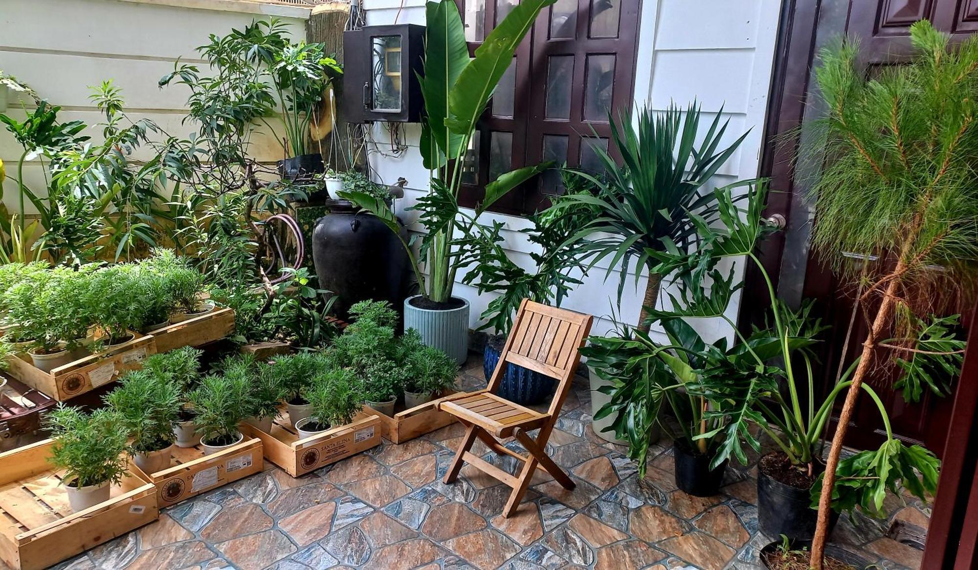 Wasabi House - Homestay Ben Cho Dalat Eksteriør bilde