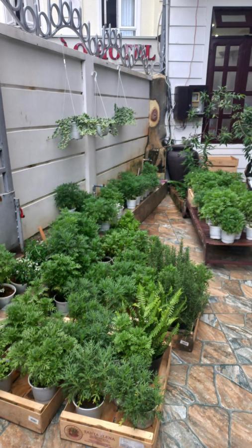 Wasabi House - Homestay Ben Cho Dalat Eksteriør bilde