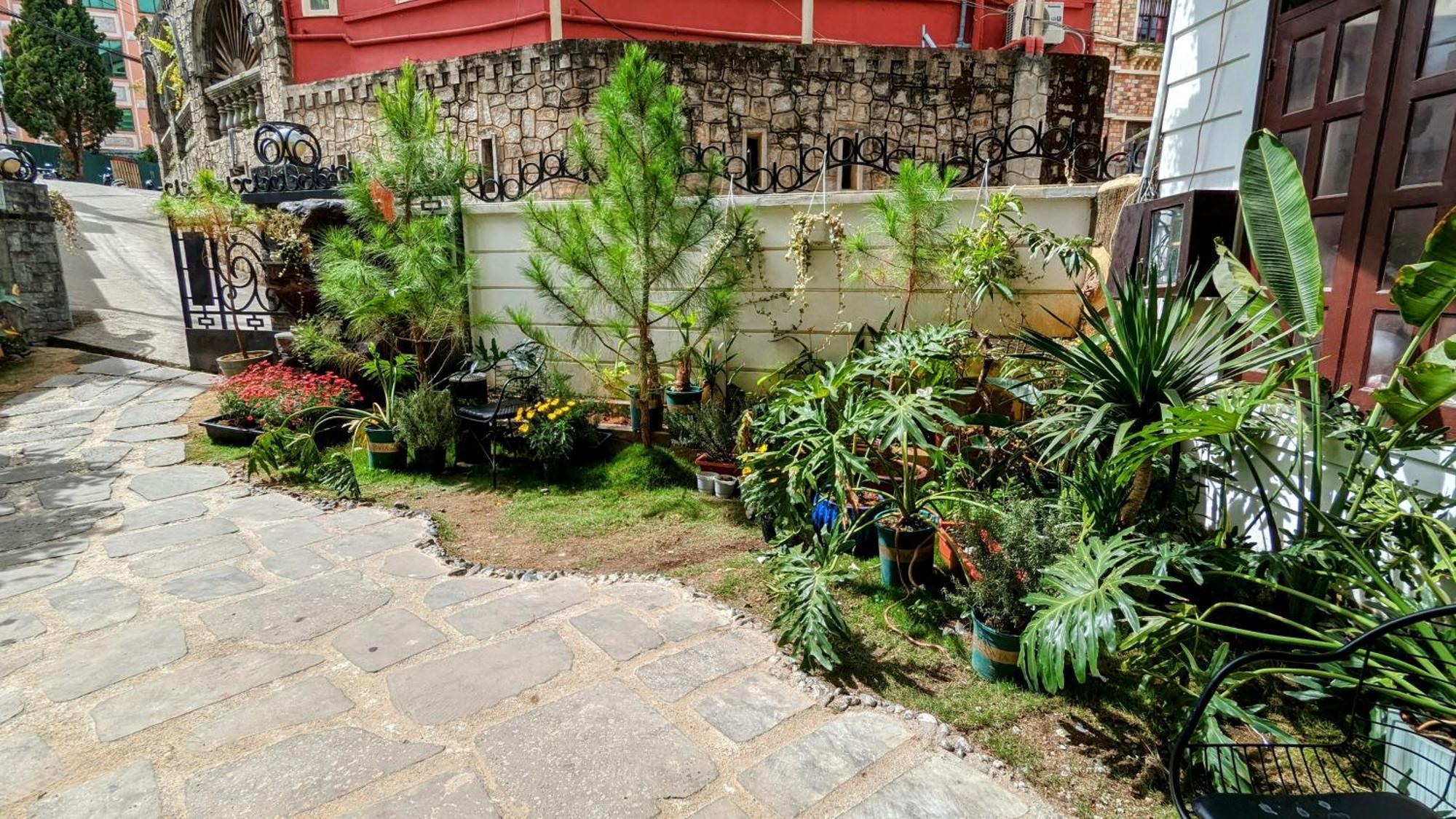 Wasabi House - Homestay Ben Cho Dalat Eksteriør bilde