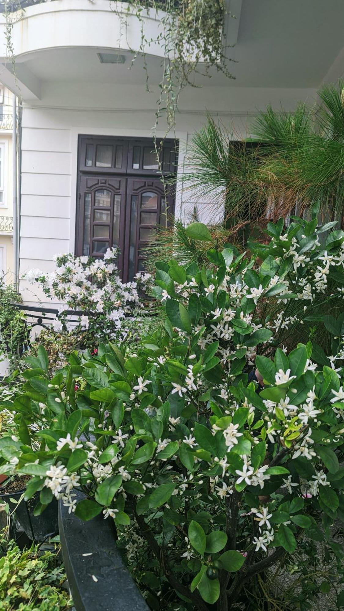 Wasabi House - Homestay Ben Cho Dalat Eksteriør bilde